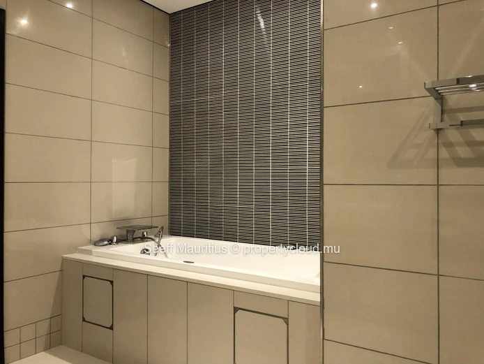 Luxury Rooftop Penthouse at La Croisette