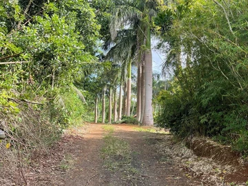 Agricultural Land