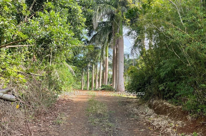 Cultivate Your Dreams: Expansive Agricultural Land Awaits Your Vision
