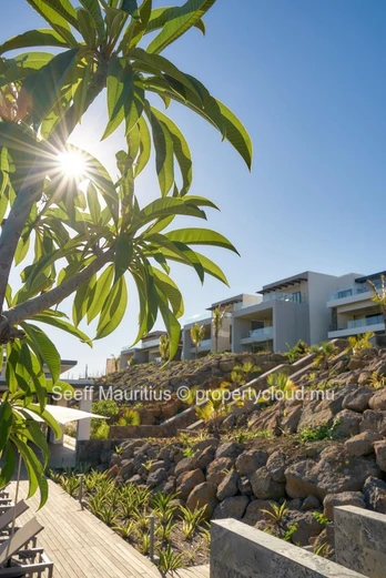 Coastal Serenity Awaits You