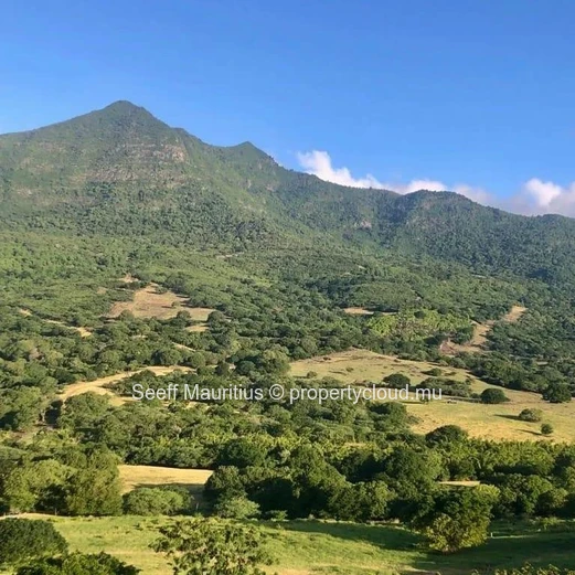 Serene Splendor: Expansive Plot with Magnificent Views