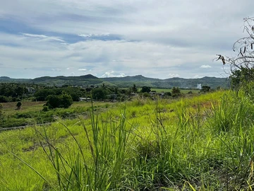 Agricultural Land