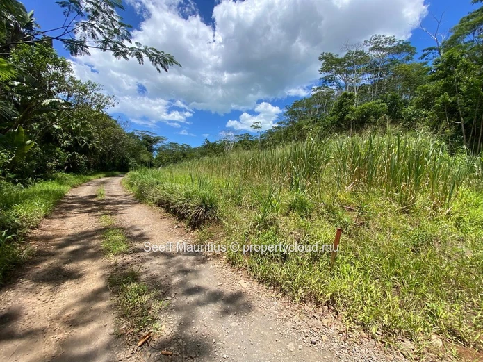 Beautiful farmland in Chamarel