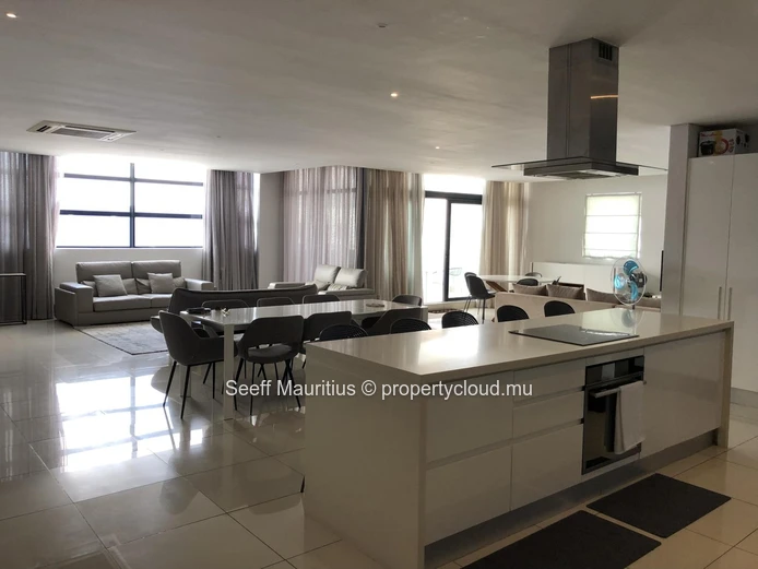 Luxury Rooftop Penthouse at La Croisette