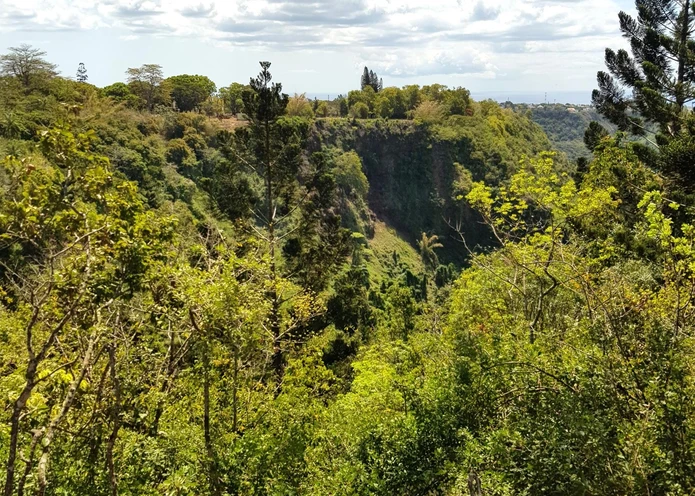 Une vie luxueuse au cœur de la nature : Appartement haut de gamme dans le centre