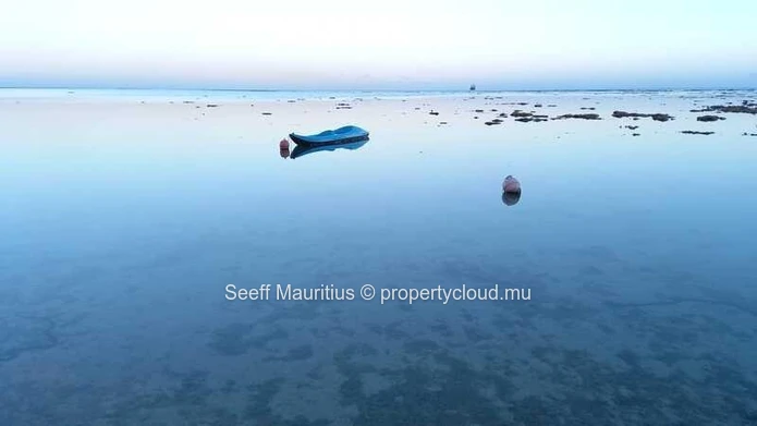 Coastal Serenity Awaits You