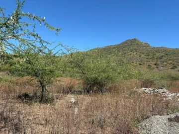Land