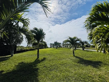 Land