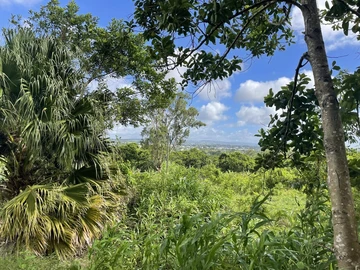 Agricultural Land