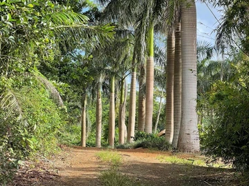 Agricultural Land
