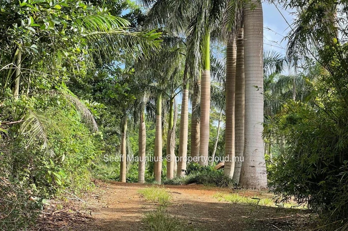 Cultivate Your Dreams: Expansive Agricultural Land Awaits Your Vision