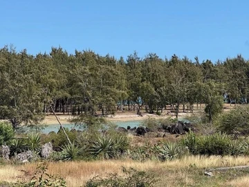 Land