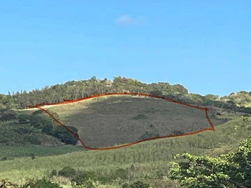 Agricultural Land