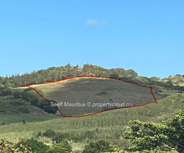 Terrain agricole de premier choix à Bel Ombre - Idéal pour des opportunités de développement