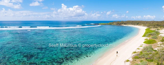 Luxury Redefined: The Sumptuous Majestic Villa