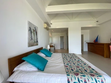 3 Bedroom Penthouse