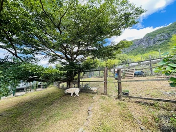 Agricultural Land