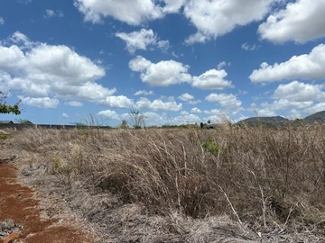 Land