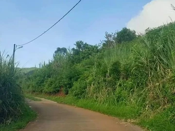 Agricultural Land