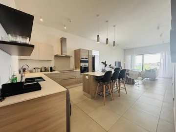 3 Bedroom Penthouse