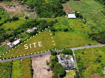 Agricultural Land