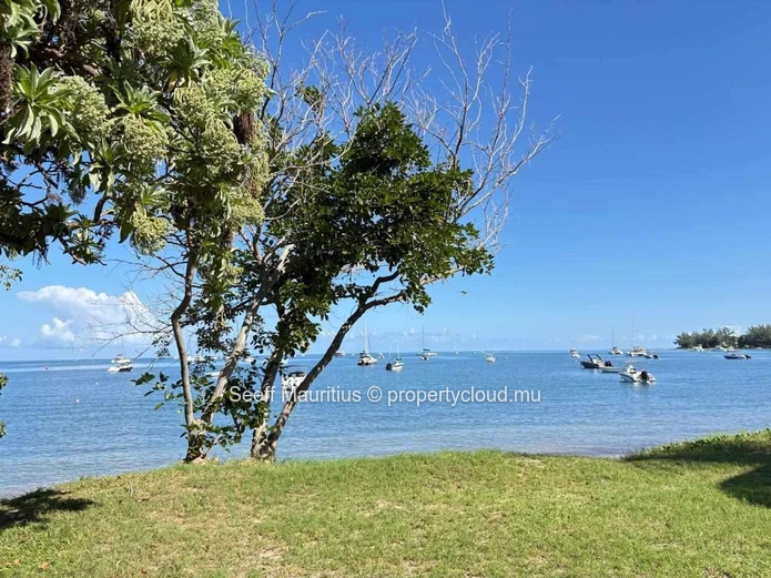 Experience the Zenith of Coastal Living