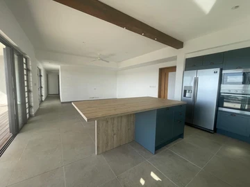 3 Bedroom Penthouse