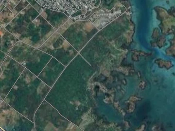 Agricultural Land
