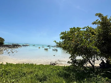 Land