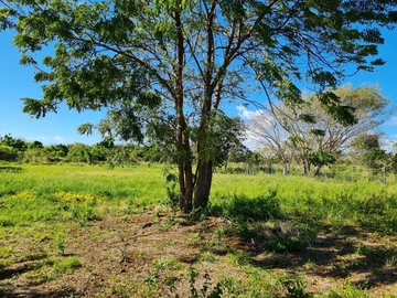 Agricultural Land