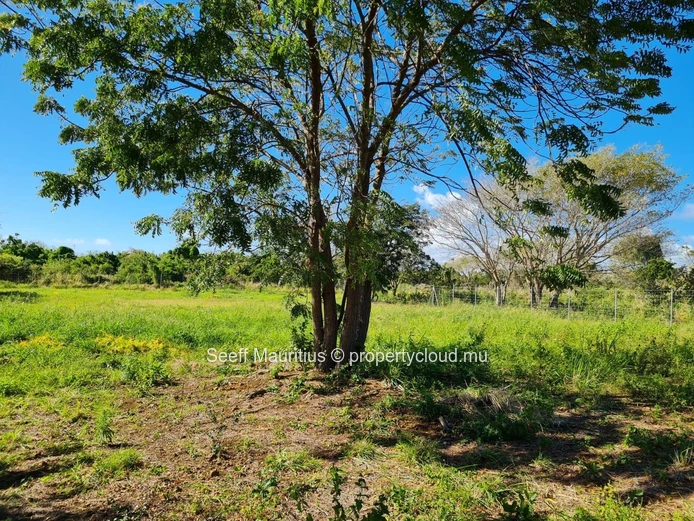 Vast Prime Investment Fenced Land