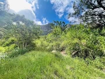 Agricultural Land