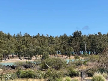 Land