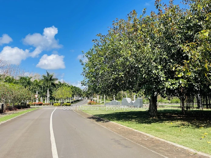 Serenity Haven: A Contemporary Retreat in the Heart of Gated Elegance