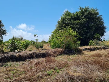 Agricultural Land
