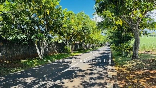 Build Your Vision: Prime Residential Plot in Domaine de Hillside 2