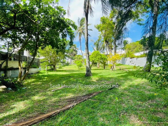 Paradise personified, Be the privileged owner of an exceptional and magnificent beachfront property