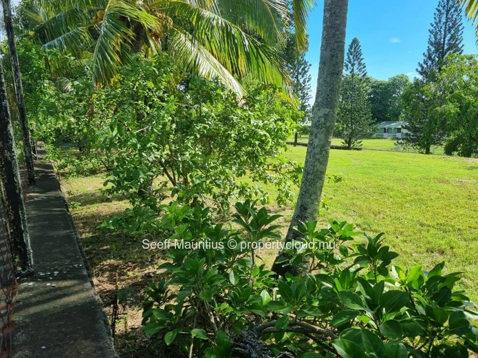 Invest in Space: 5.3 Acres of Potential