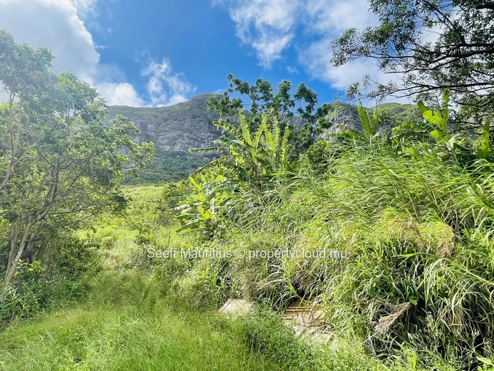 Terrain Agricole avec Vue Imprenable sur les Montagnes – Une Opportunité d'Investissement interessant