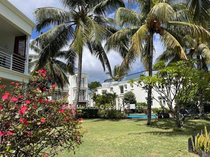 Tropical Beachfront Oasis Living