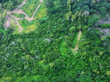 Agricultural Land