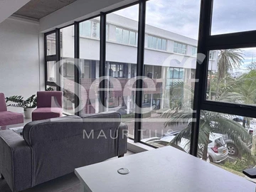 Commercial Property