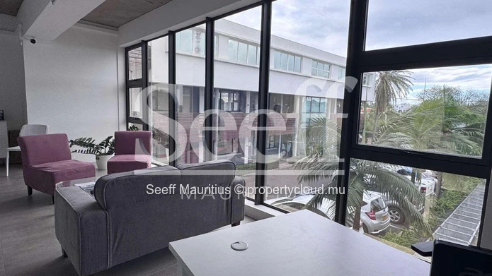 Exclusive Modern Professional Hub