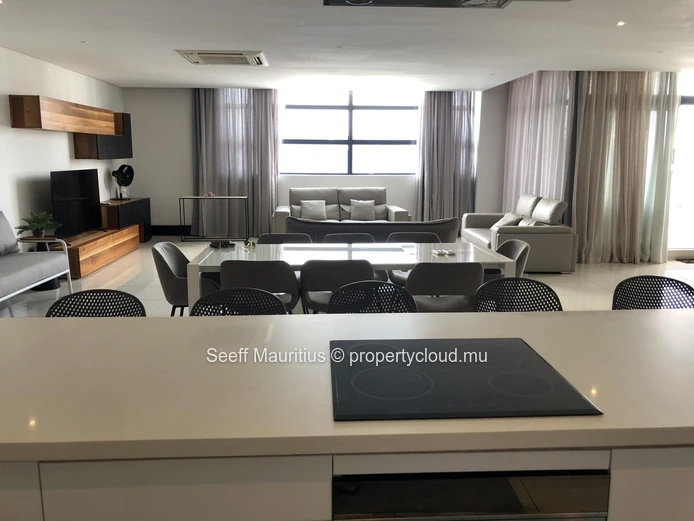 Luxury Rooftop Penthouse at La Croisette