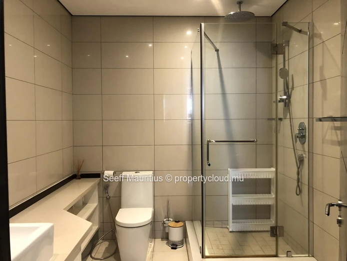 Luxury Rooftop Penthouse at La Croisette