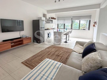 3 Bedroom Penthouse