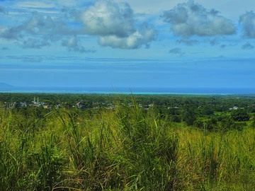 Agricultural Land
