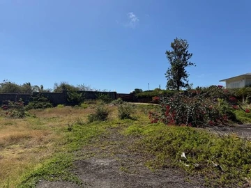 Land