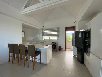 3 Bedroom Penthouse