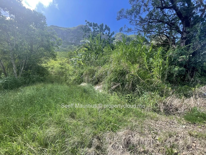 Terrain Agricole avec Vue Imprenable sur les Montagnes – Une Opportunité d'Investissement interessant